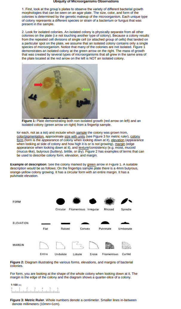 Solved Ubiquity Of Microorganisms Observations Isolated | Chegg.com