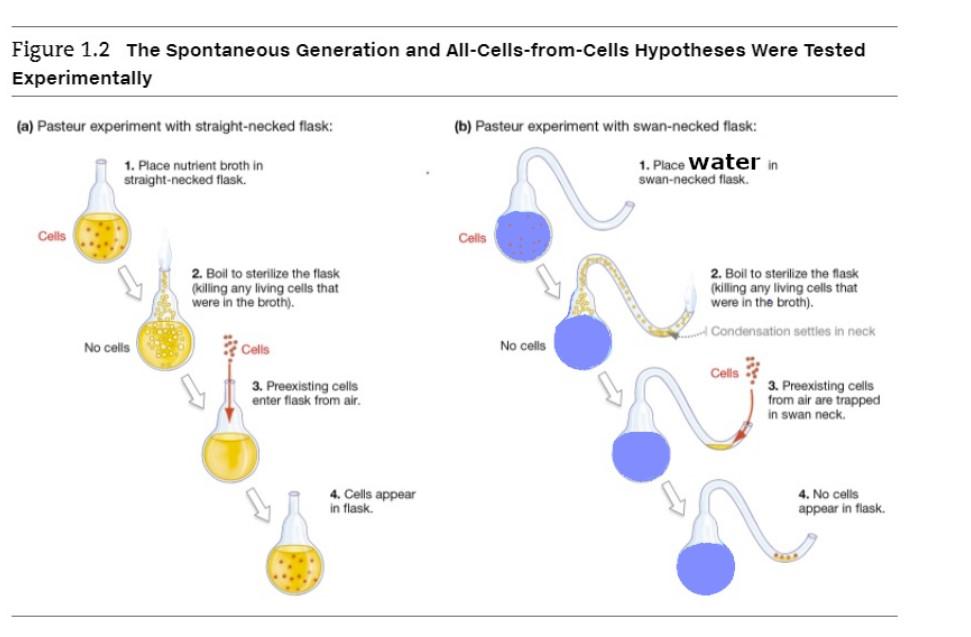 Solved Figure 1.2 The Spontaneous Generation and