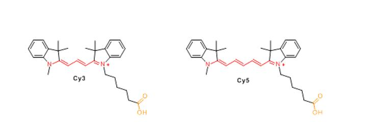 Solved (b) Below Shows The Structures Of Cyanine Dyes (Cy3,, 45% OFF