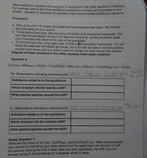 need help with essay question