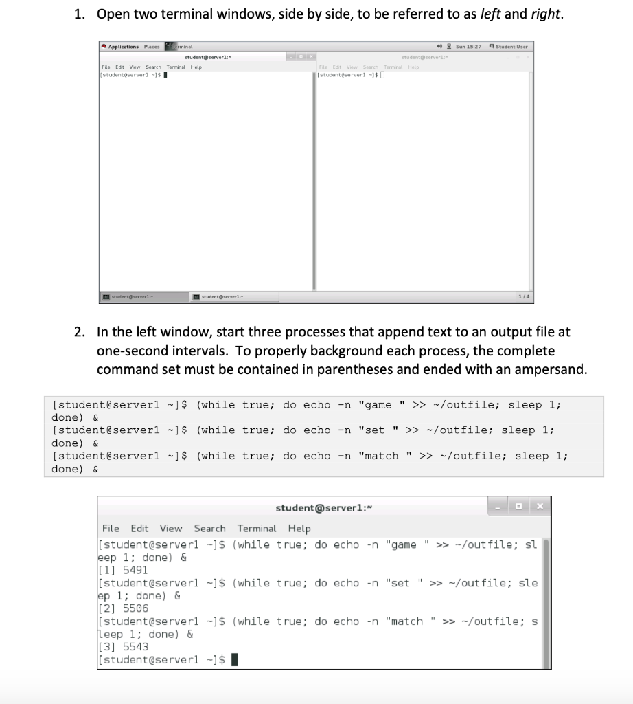 Solved 1. Open two terminal windows, side by side, to be | Chegg.com