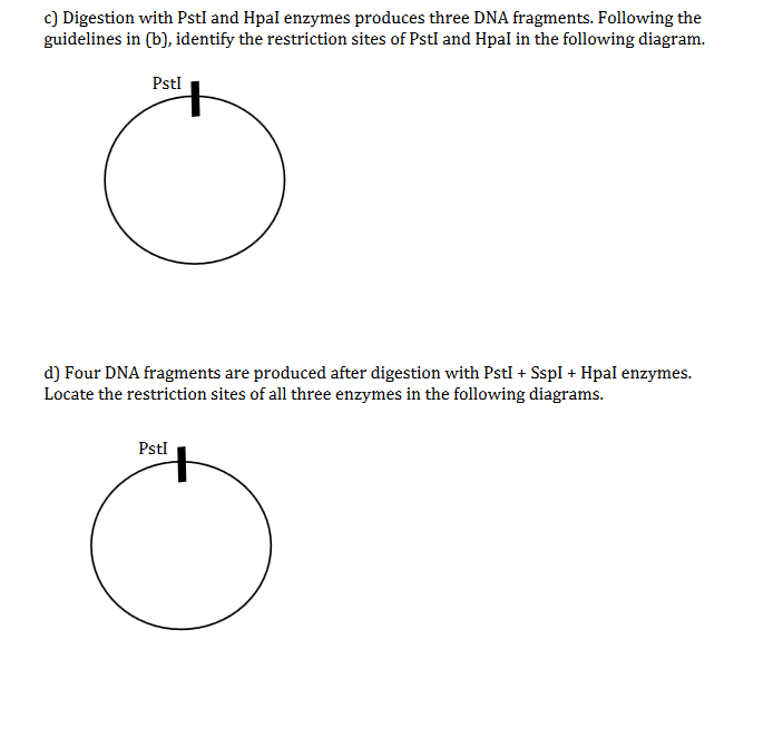 Solved Restriction Digestion problem -- Please help me with | Chegg.com