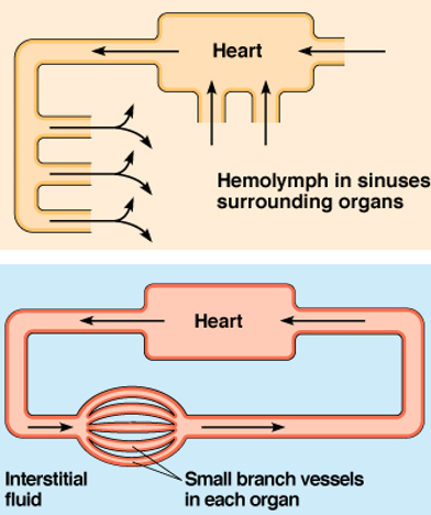 Solved Use these diagrams below to explain the structural Chegg