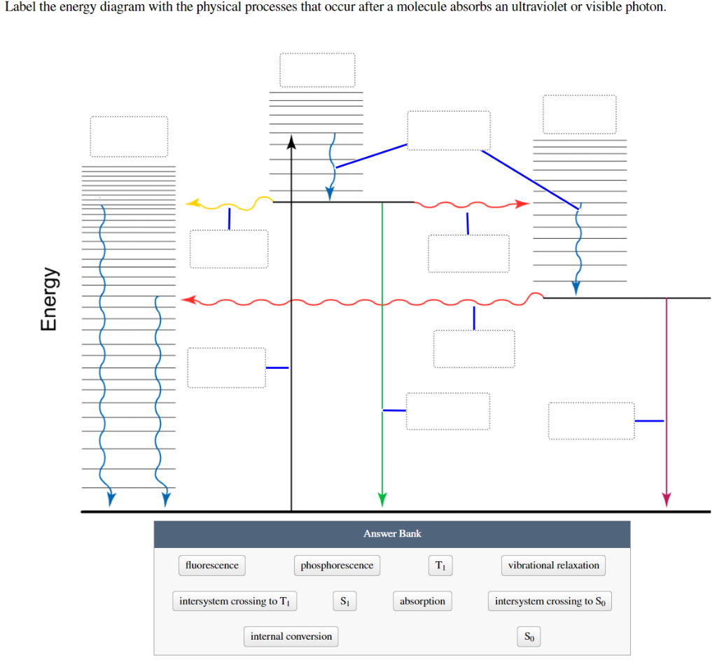 Solved Label The Energy Diagram With The Physical Processes