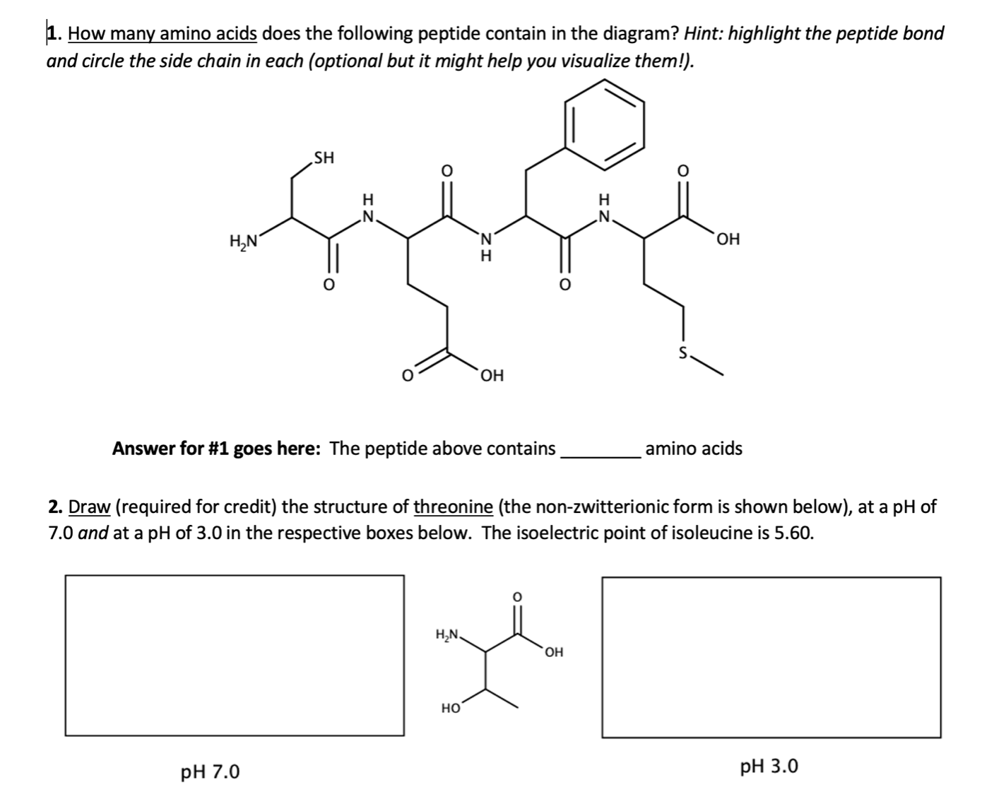 Solved 1. How many amino acids does the following peptide | Chegg.com