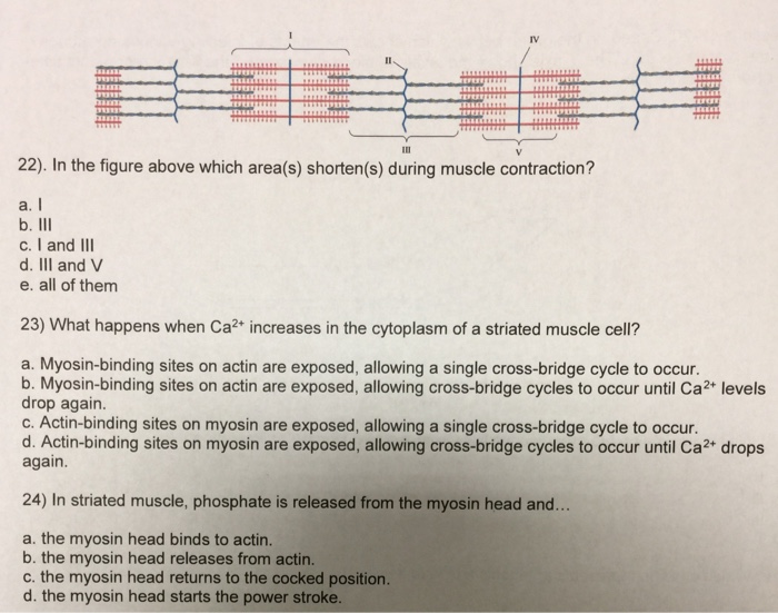 Solved Please answer all three questions. Please make sure | Chegg.com