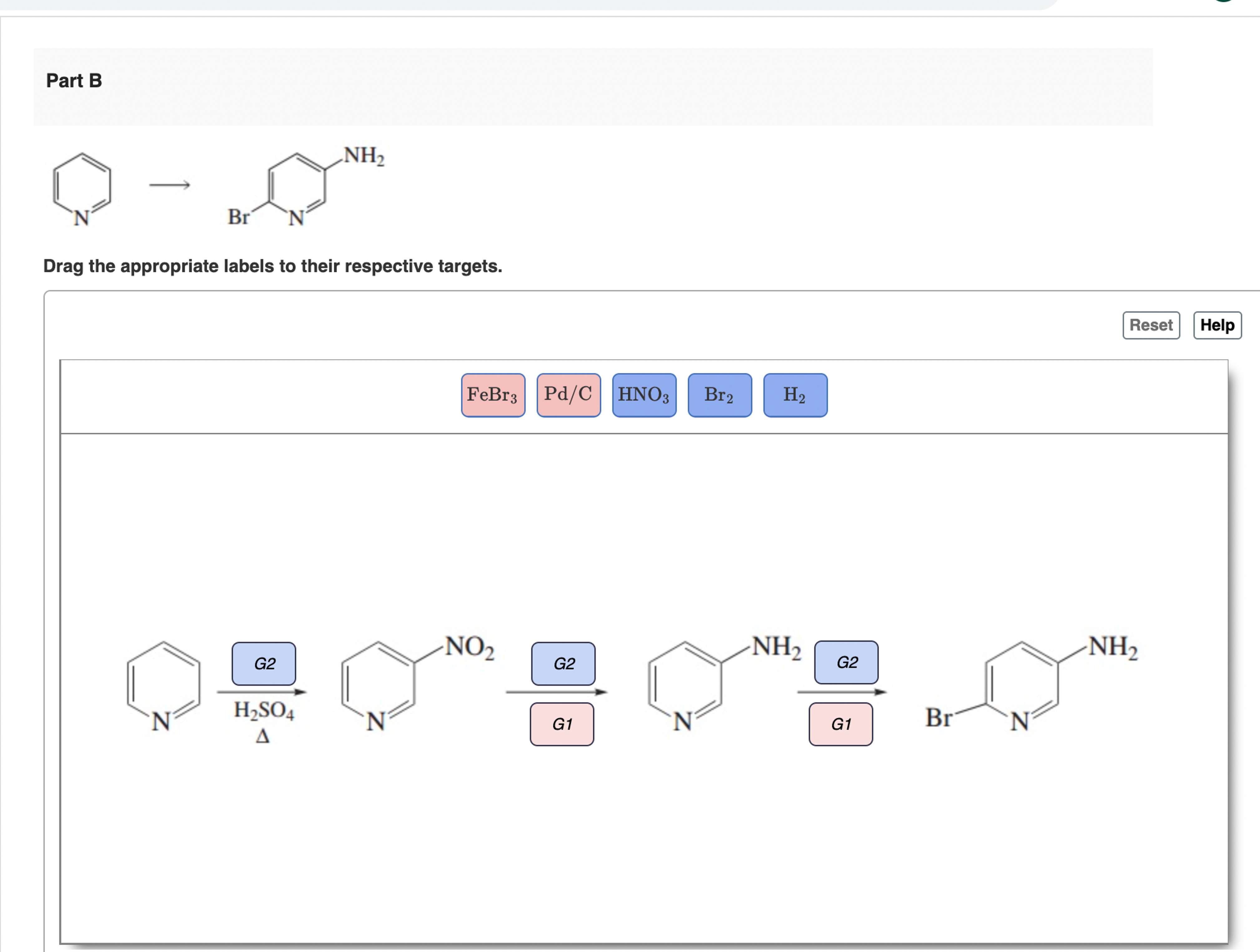 Dedrag The Appropriate Labels To Their Respective Targets. Chegg - ceppru2