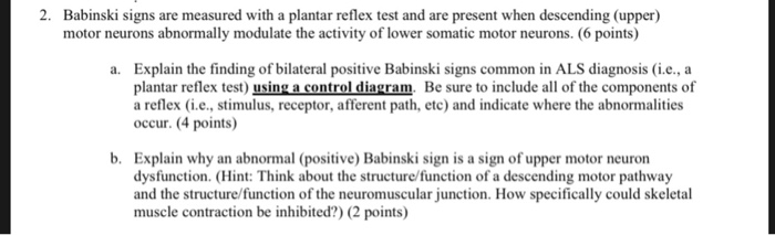 Solved 2. Babinski signs are measured with a plantar reflex | Chegg.com