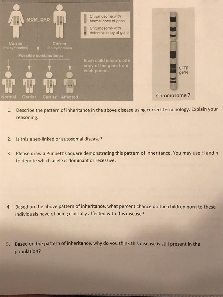 Solved Chromosome with normal copy of gene Chromosome with | Chegg.com