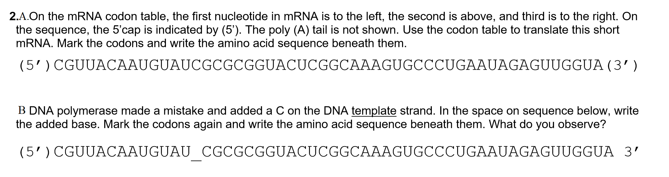 Solved 2.A.On the mRNA codon table, the first nucleotide in | Chegg.com