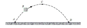 Solved A Tennis Ball Is Thrown Upward At An Angle From Point | Chegg.com