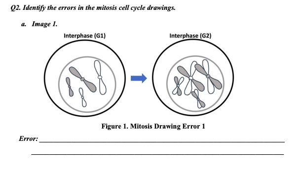 interphase g2 drawing