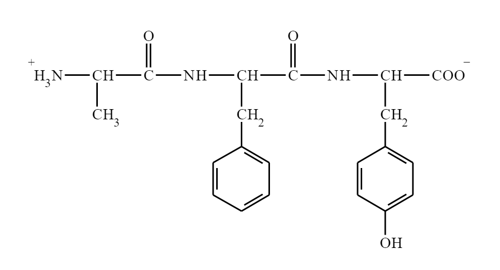 Solved Highlight Each Peptide Bond In The Molecule Below In Chegg Com