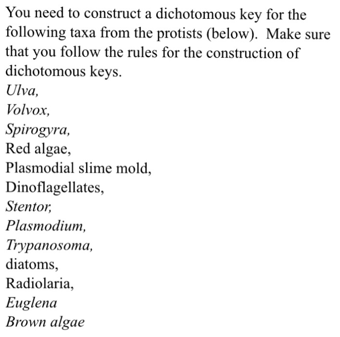 Solved You need to construct a dichotomous key for the | Chegg.com