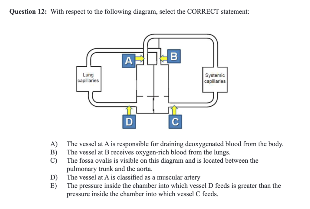 Solved Question 12: With Respect To The Following Diagram, | Chegg.com