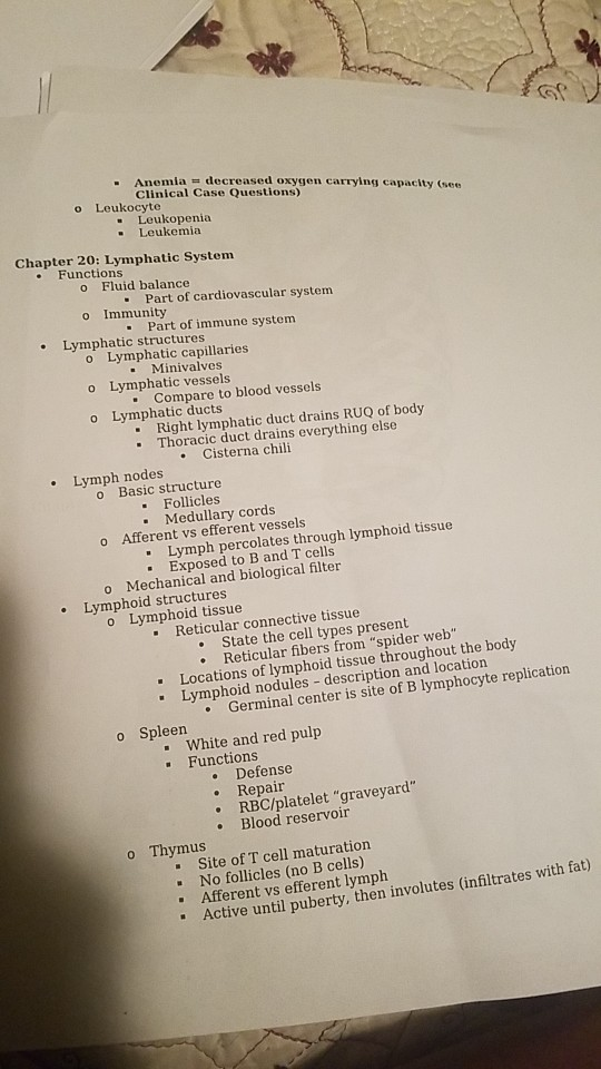 Anatomy And Physiology Ii Exam 1 Study Guide Chegg Anatomy And Physiology Ii Exam 1 Study Guide Chegg