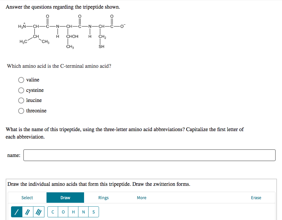 Solved Answer The Questions Regarding The Tripeptide Show Chegg Com