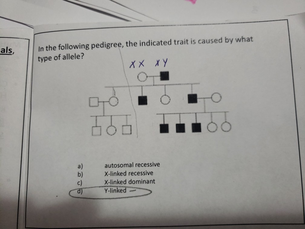 Solved als, In the following pedigree, the indicated trait | Chegg.com