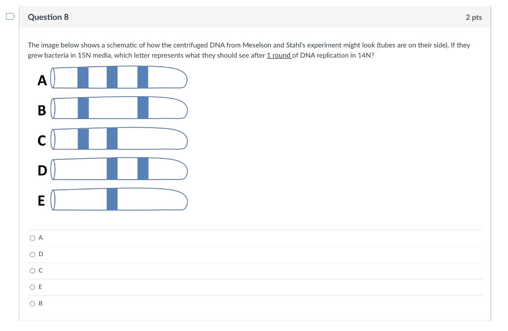 Solved A mutation changes the DNA such that a codon was AAU | Chegg.com