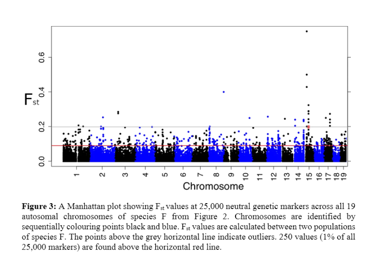 Figure 2. A phylogeny of various rodent populations | Chegg.com