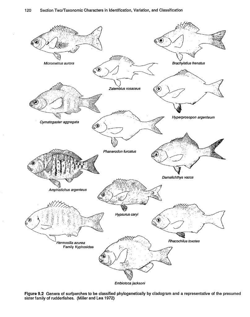 Solved 122 Section Two/Taxonomic Characters in | Chegg.com