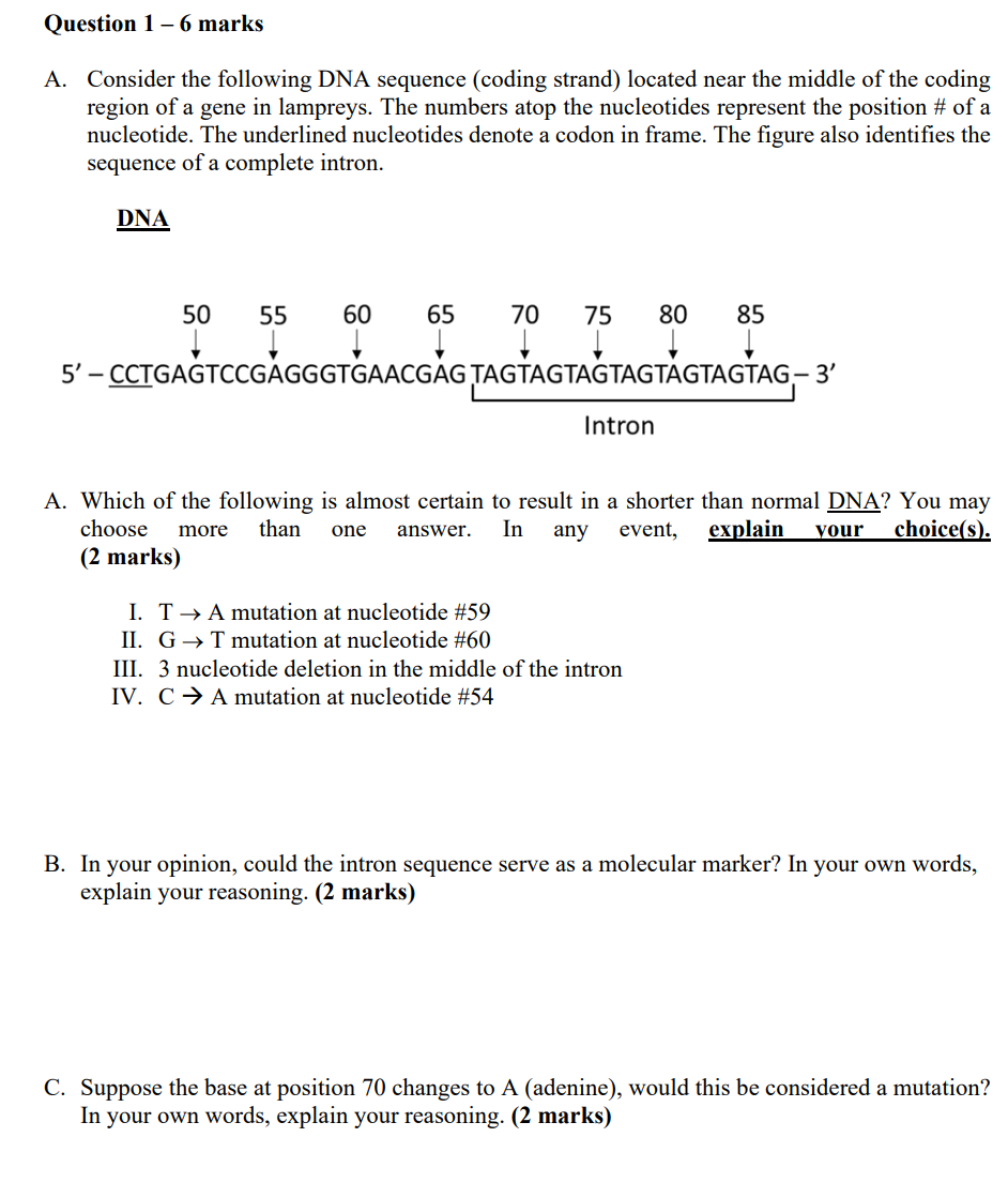 Solved Question 1 - 6 marks A. Consider the following DNA | Chegg.com
