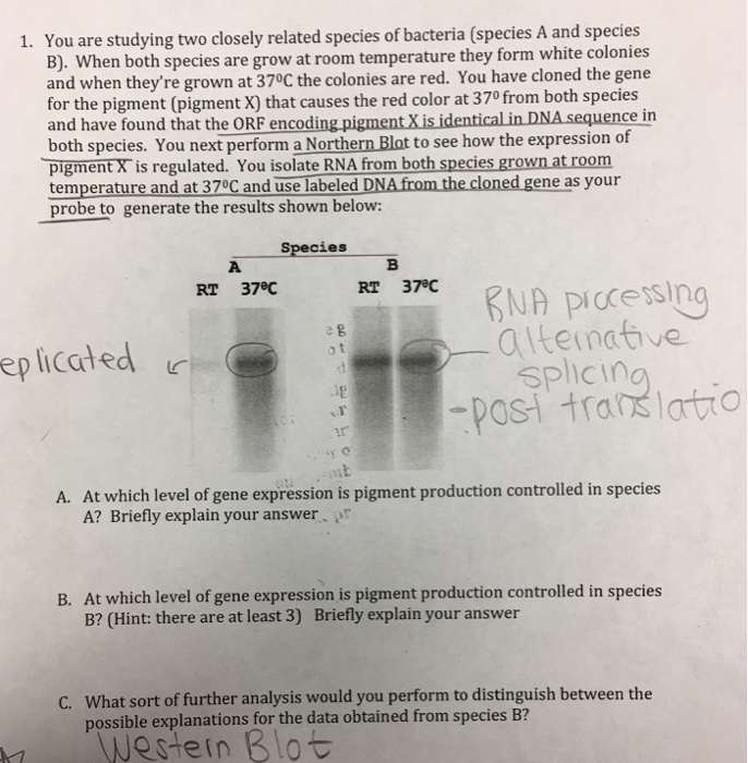 Solved 1. You Are Studying Two Closely Related Species Of | Chegg.com