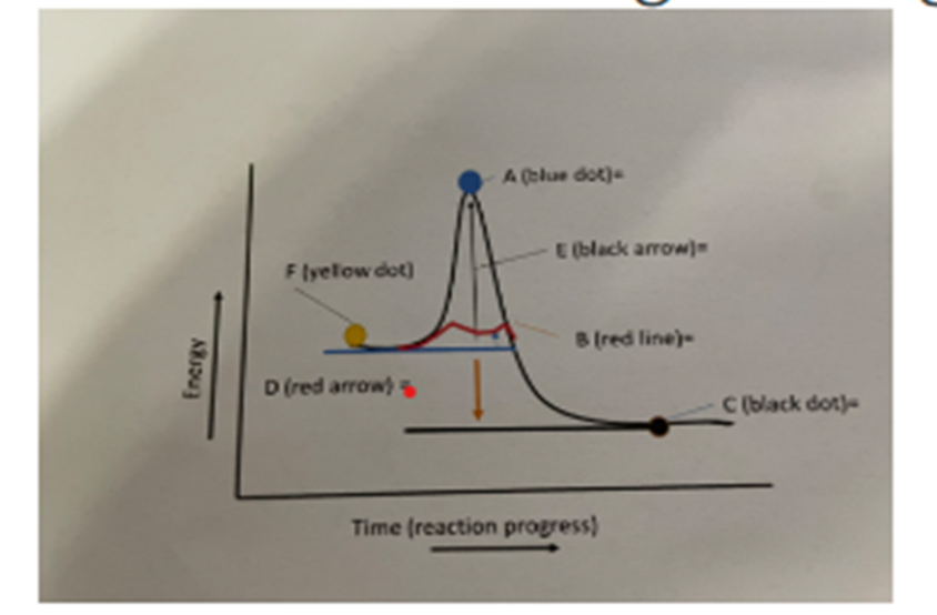 Solved Label the following diagram with the letter provided | Chegg.com