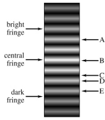 Solved Refer to the image. Explain. a) Identify the | Chegg.com