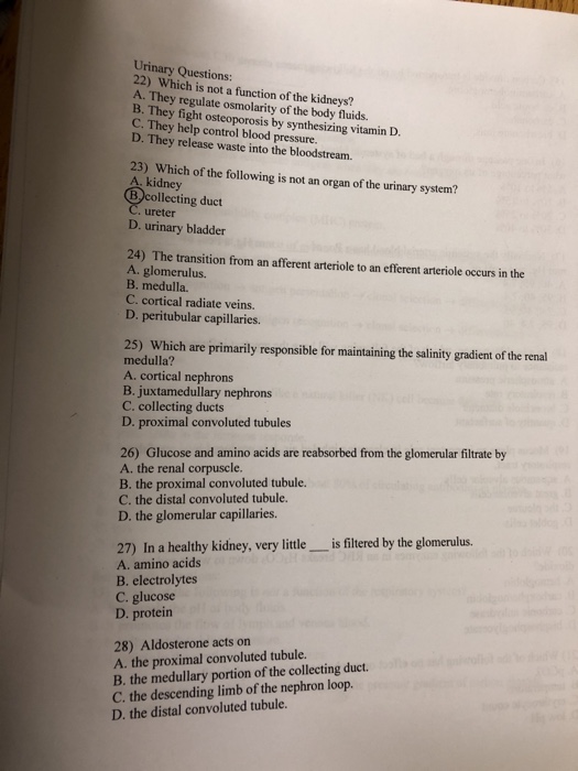 Solved Urinary Questions 22) Which is not a function of the