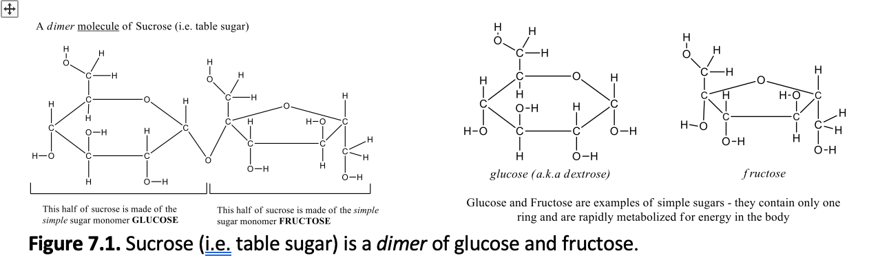 What is Glucose Made Of?