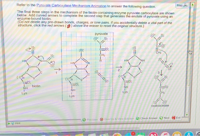 Pyruvate Carboxylase Mechanism