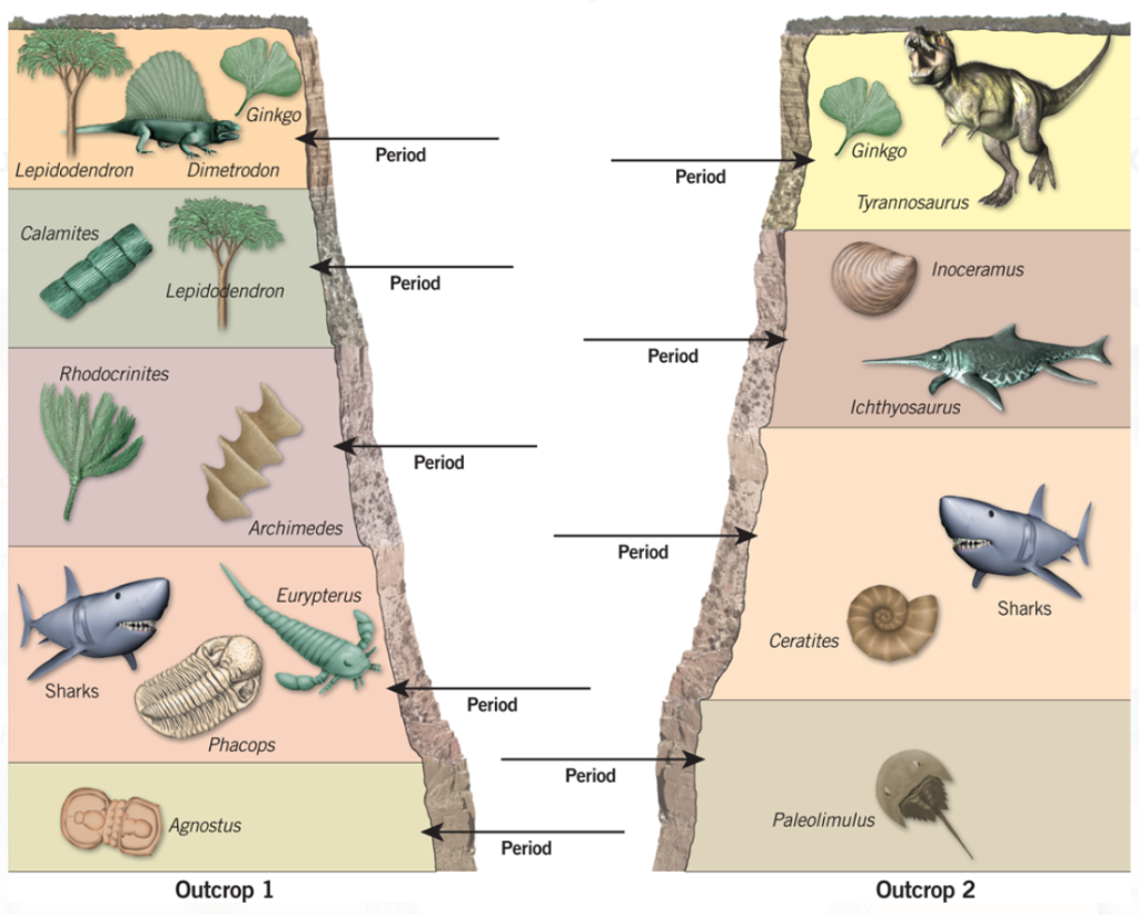 What Usually Occurs At The End Of A Geological Period