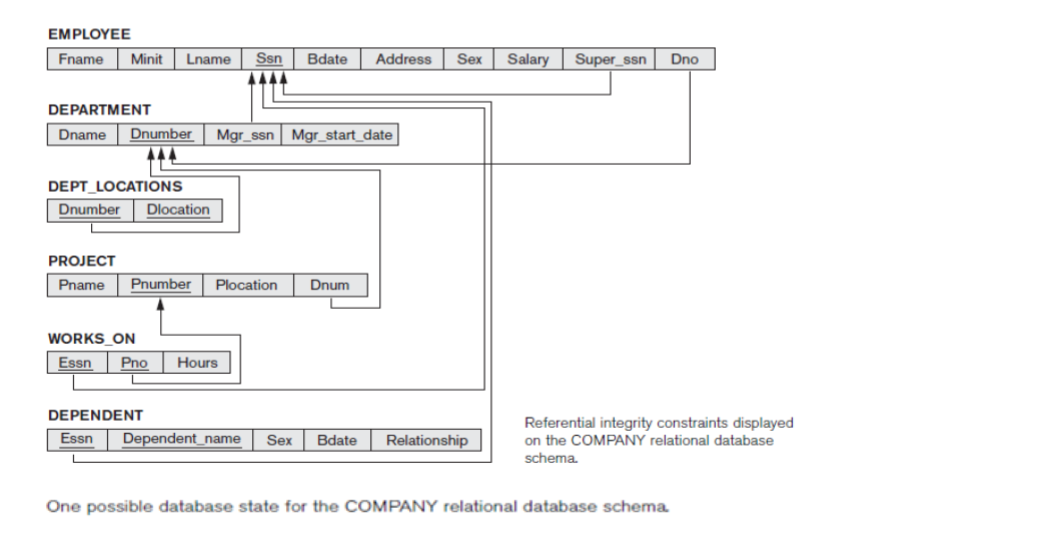 Solved Write the following queries in SQL on the relational | Chegg.com