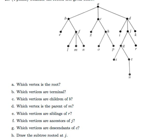 Solved I M N O P A Which Vertex Is The Root B Which Ve Chegg Com