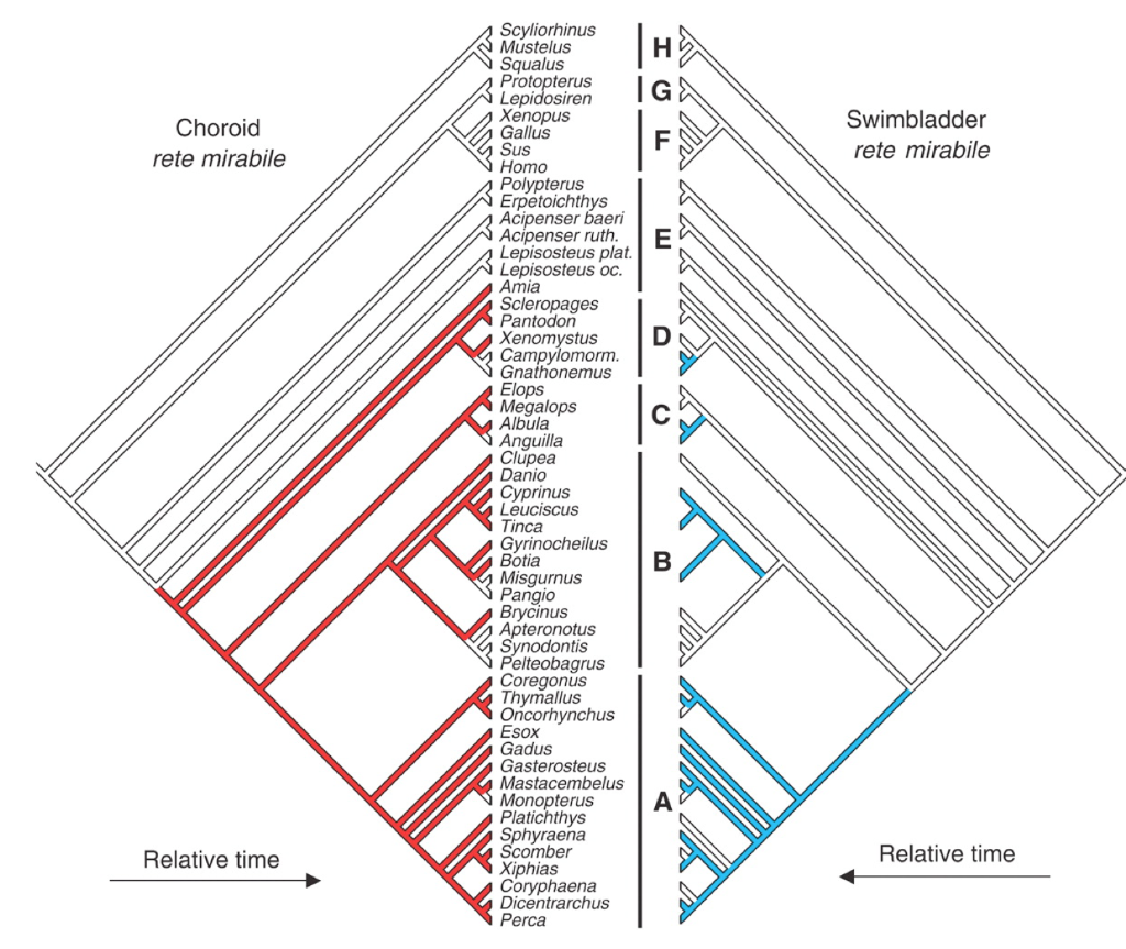 This is all of the information provided by my
