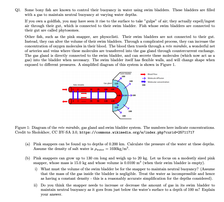 Solved Q1. Some bony fish are known to control their