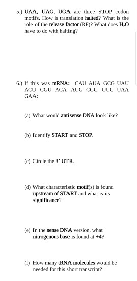 Solved 5.) UAA, UAG, UGA are three STOP codon motifs. How is | Chegg.com