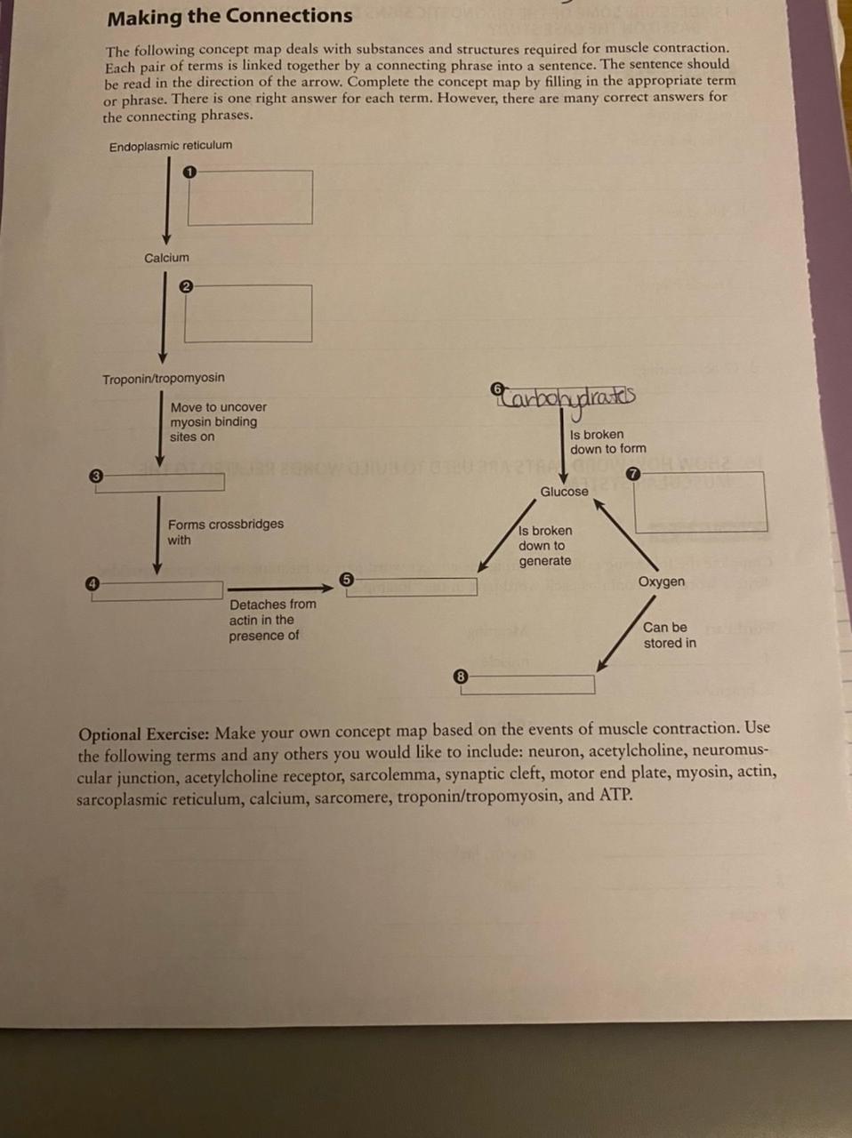 Solved Making the Connections The following concept map | Chegg.com