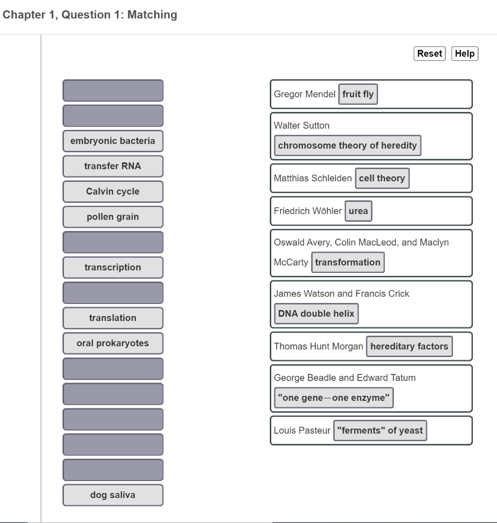 Solved Match Each Scientist Or Group Of Scientists On The | Chegg.com