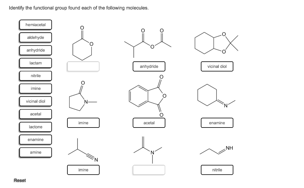 Solved Identify The Functional Group Found Each Of The 7647