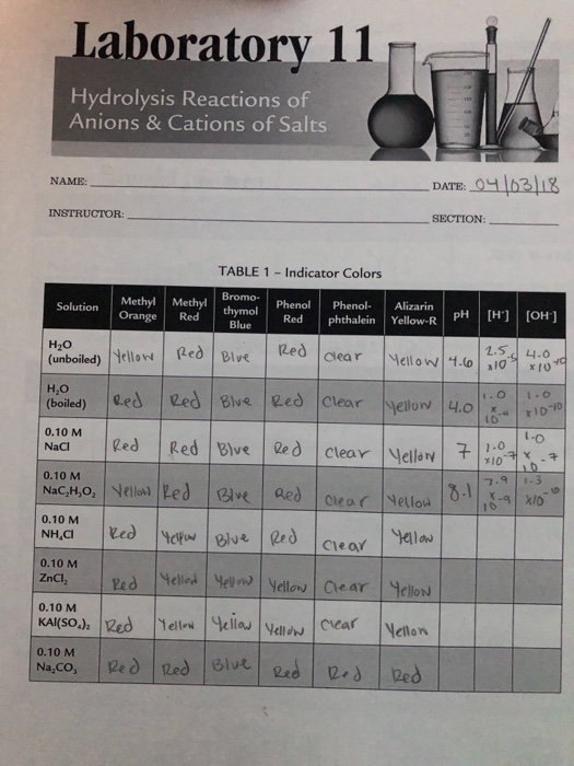 Laboratory! !? Hydrolysis Reactions Of Anions & | Chegg.com