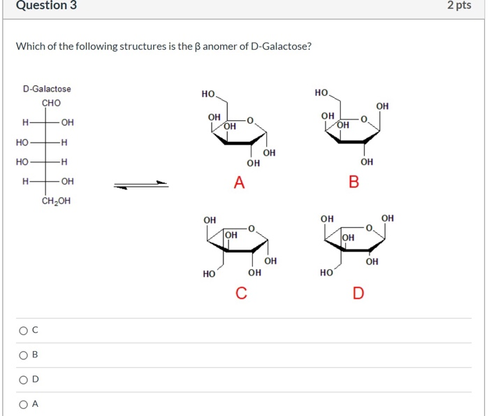 Solved Question 3 2 pts Which of the following structures is | Chegg.com