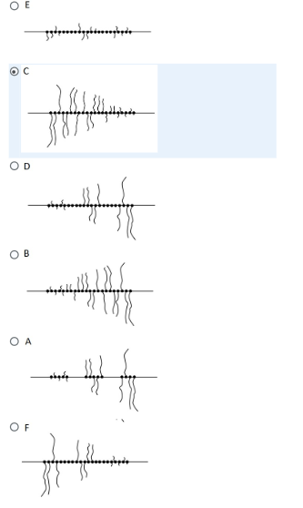 Solved The diagram below depicts a segment of chromosomal | Chegg.com