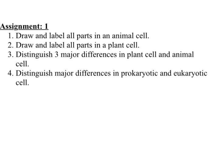 draw the structure of plant and animal cell and label the parts