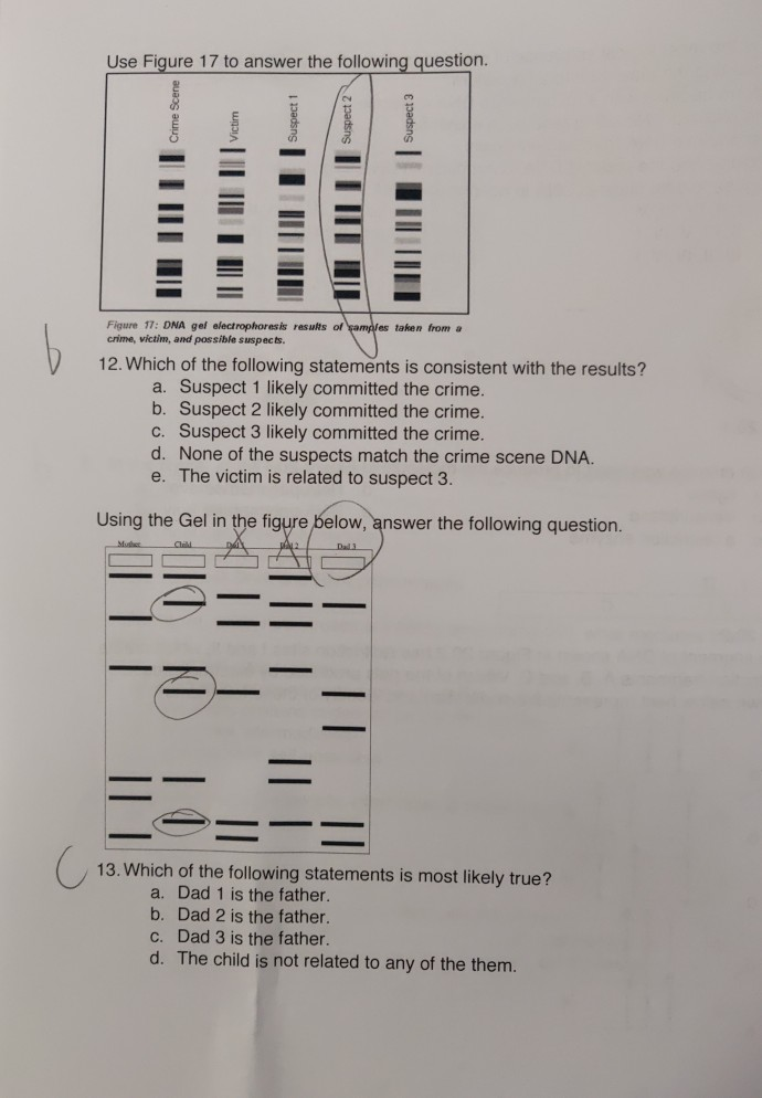 Solved Use Figure 17 To Answer The Following Question. Crime | Chegg.com