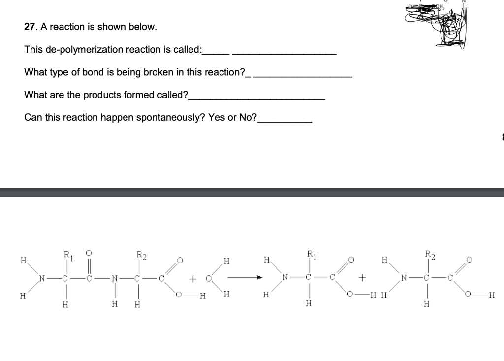 Solved 27. A Reaction Is Shown Below. This De-polymerization | Chegg.com