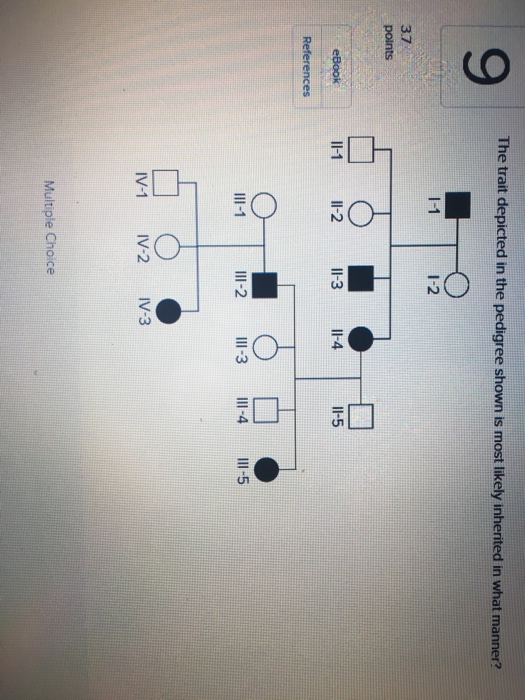 Solved 9 The trait depicted in the pedigree shown is most | Chegg.com