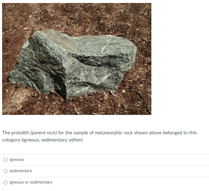 Solved 9 The protolith (parent rock) for the sample of