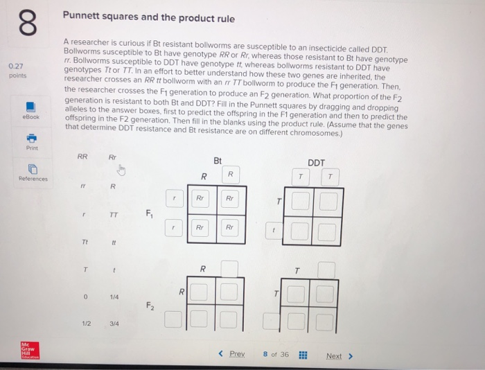 Solved Punnett squares and the product rule A researcher is | Chegg.com